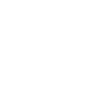 The Wall Street Journal logo